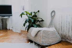 thumbnail: Living area