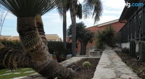 thumbnail: Exterior