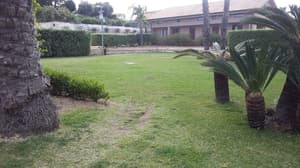 thumbnail: Garden