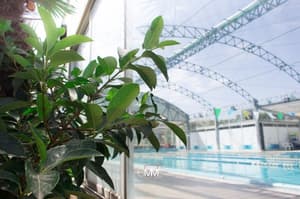thumbnail: Indoor pool