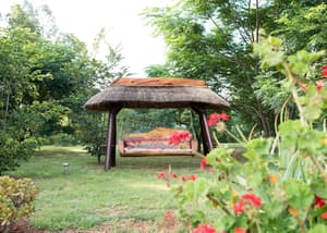 thumbnail: Garden