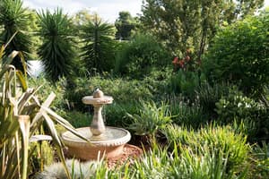 thumbnail: Garden