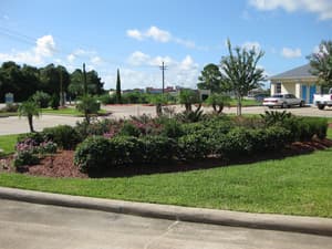 thumbnail: Property grounds