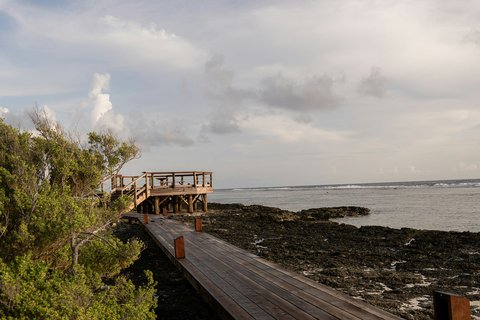 Beach Path