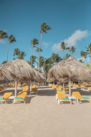 thumbnail: Beach