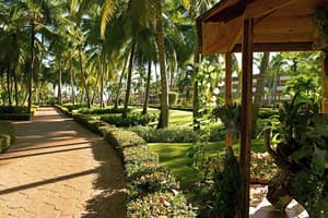 thumbnail: Garden