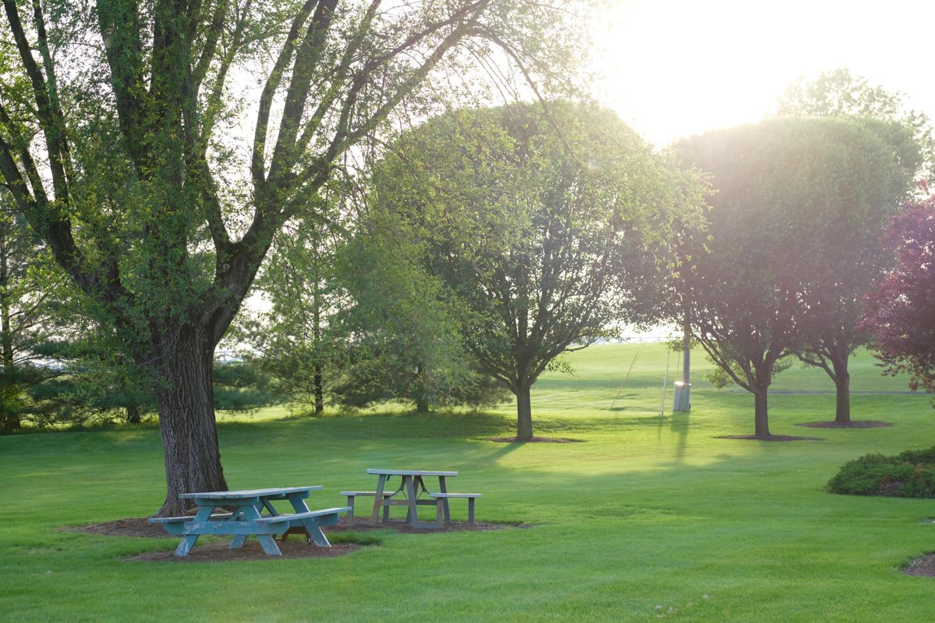 Play area