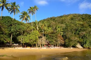 thumbnail: Beach