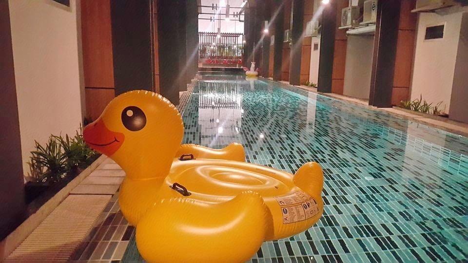 Swimming pool-spa