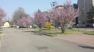 thumbnail: Property grounds