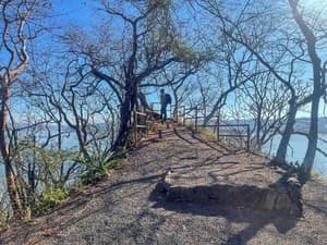 thumbnail: General view