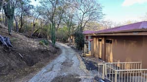 thumbnail: General view