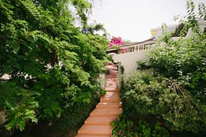 thumbnail: General view