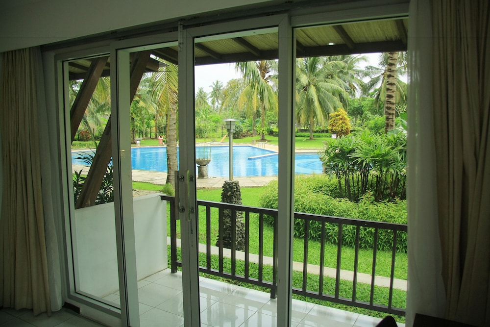 View from room