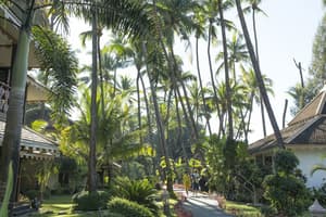 thumbnail: Garden