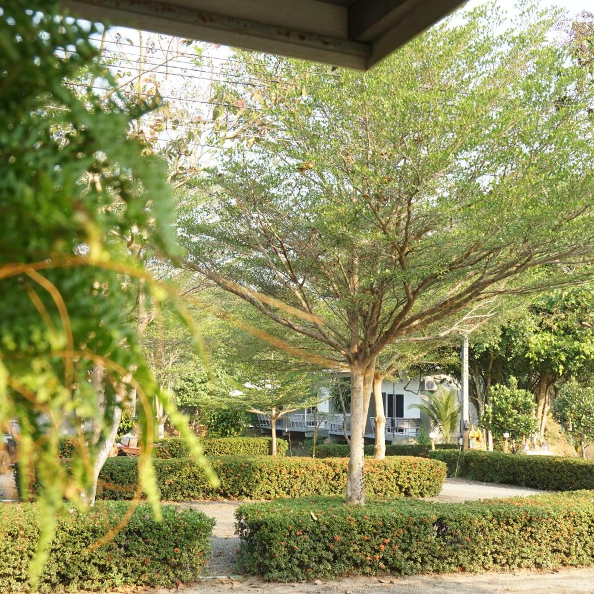 Surroundings