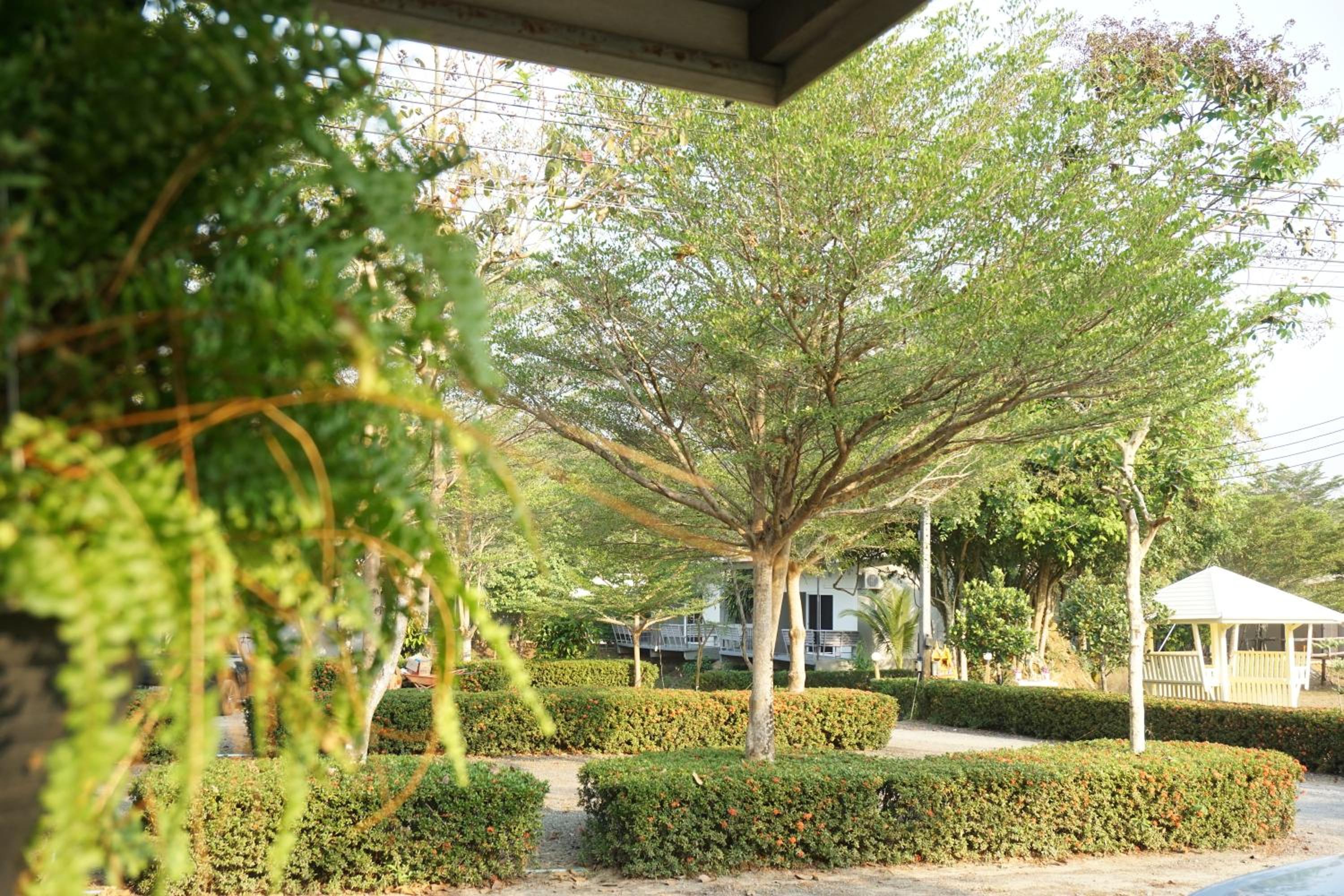 Surroundings