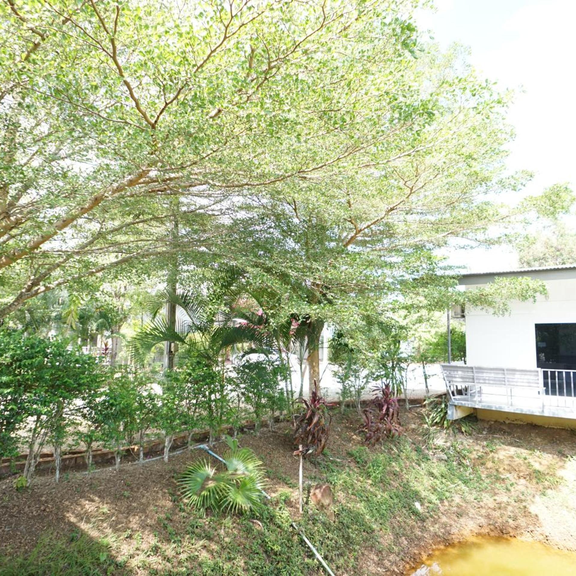 Surroundings