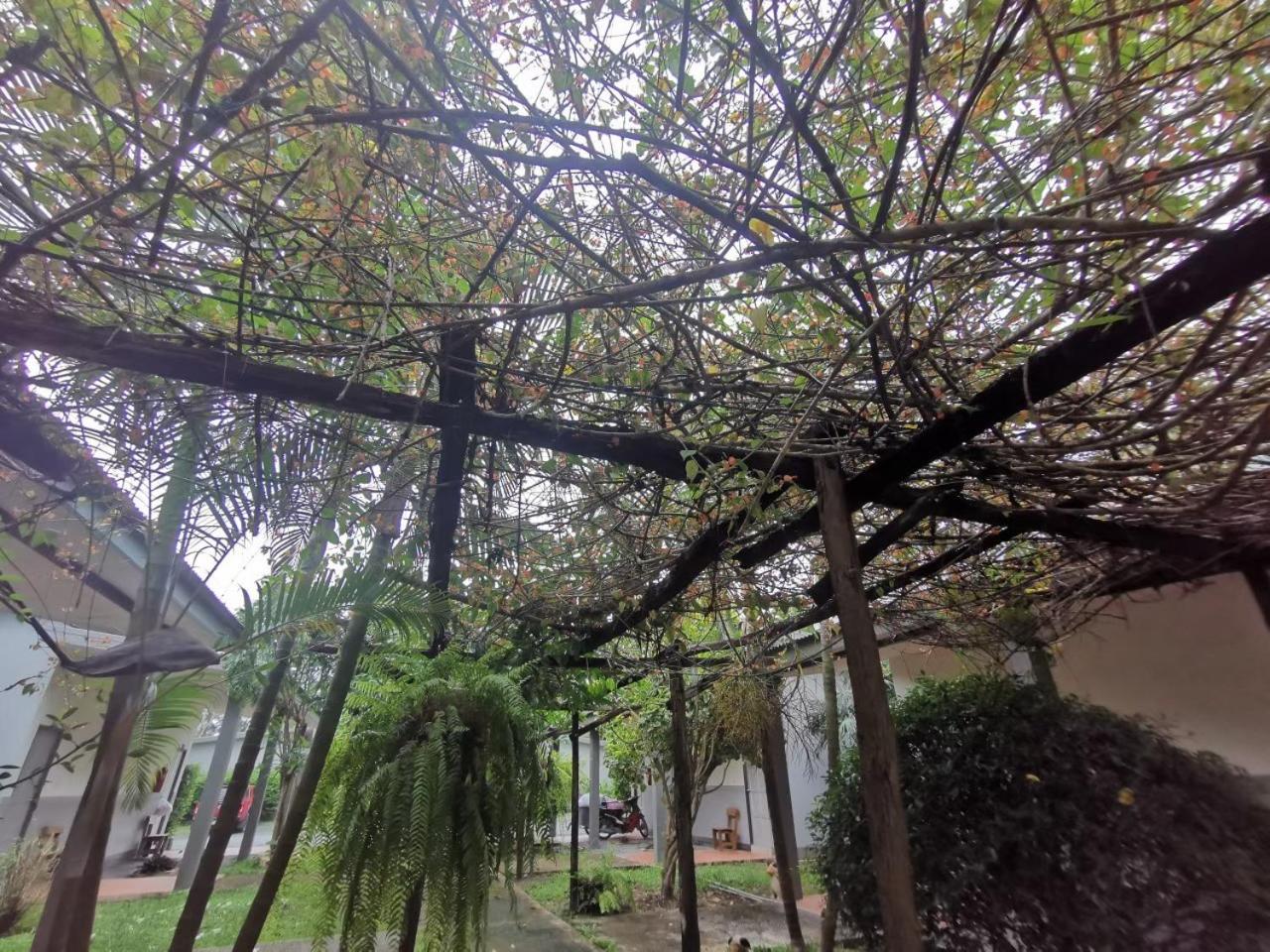 Surroundings