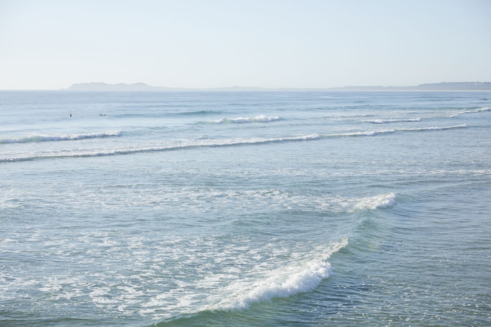 Surfing/boogie boarding