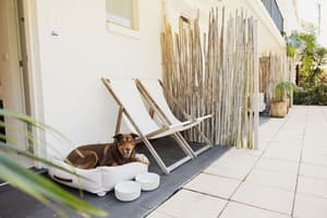 thumbnail: Terrace/patio