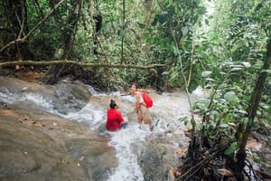 thumbnail: Ecotours