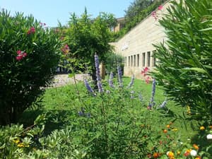thumbnail: General view