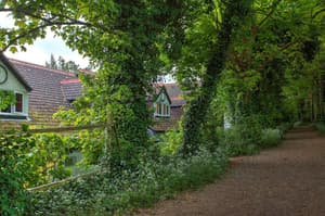 thumbnail: General view