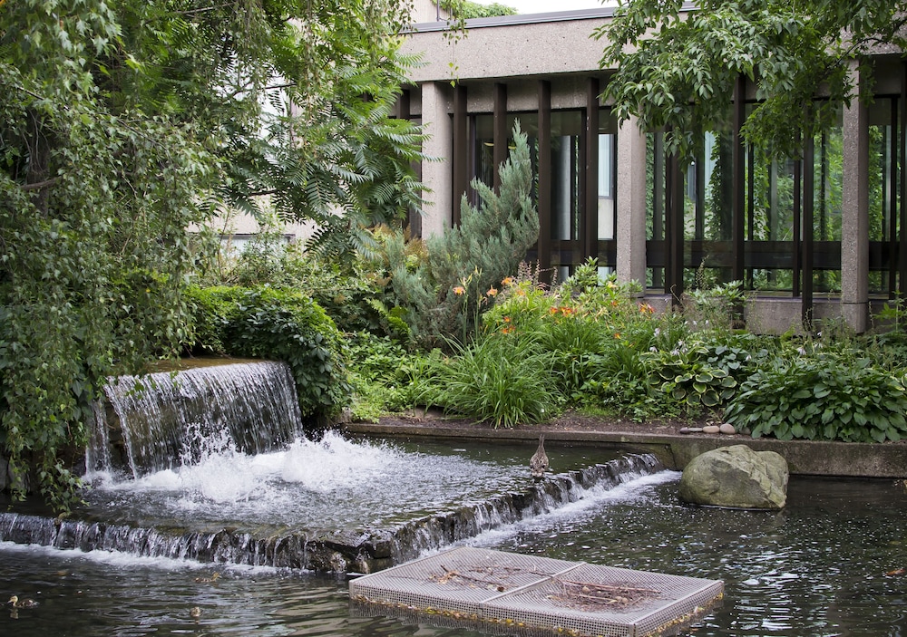 Garden view