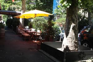 thumbnail: General view