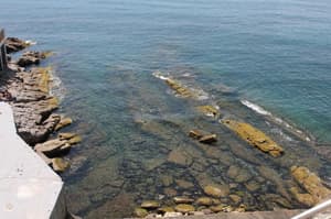 thumbnail: General view