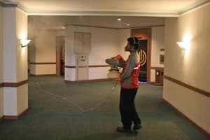 thumbnail: Interior