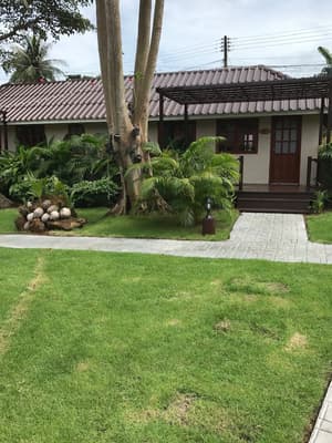 thumbnail: Terrace/patio