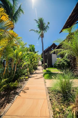 thumbnail: Garden