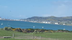 thumbnail: View from property