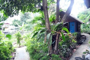 thumbnail: Garden