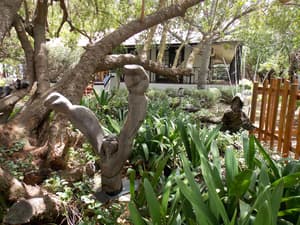thumbnail: Garden