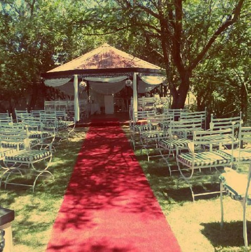 Outdoor wedding area
