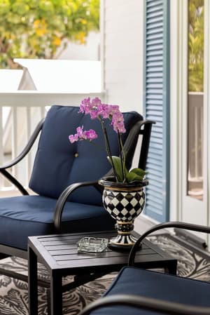 thumbnail: Terrace/patio