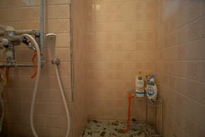 thumbnail: Bathroom shower