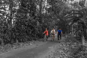 thumbnail: Bicycling
