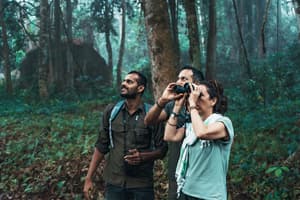 thumbnail: Ecotours