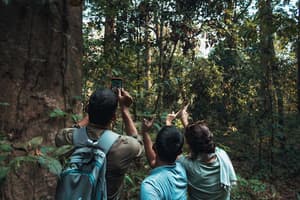 thumbnail: Ecotours