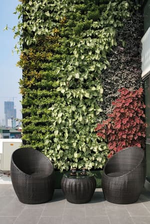 thumbnail: Garden view