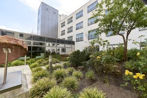 thumbnail: Terrace/patio
