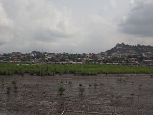thumbnail: Mountain view