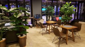 thumbnail: Reception