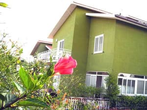 thumbnail: General view