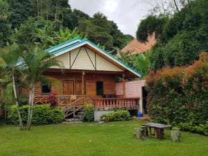 thumbnail: General view