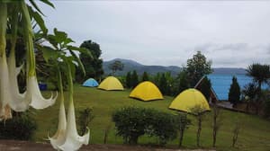 thumbnail: General view